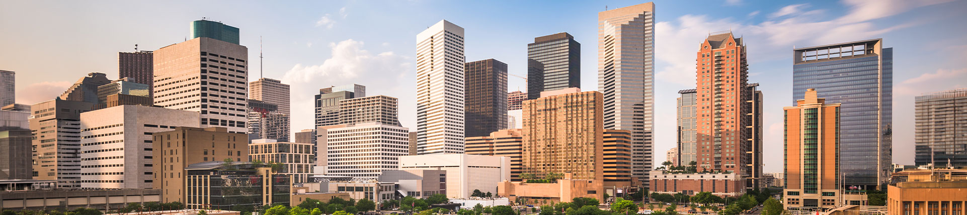 Houston city 