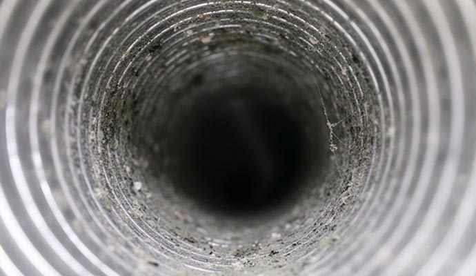 Inside view of a moldy duct