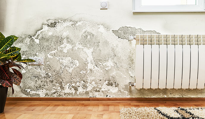 Structural mold