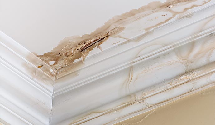 Ceiling damaged by water and mold