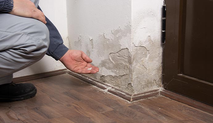 Expert inspecting a structurally damaged wall